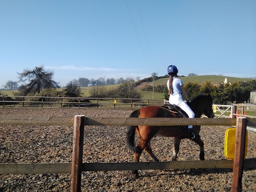 Tune and meg having a riding lesson