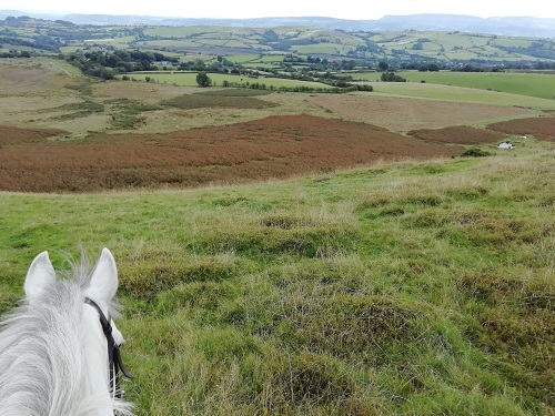 Trail ride out in the welsh mountains at Bryngwyn riding centre